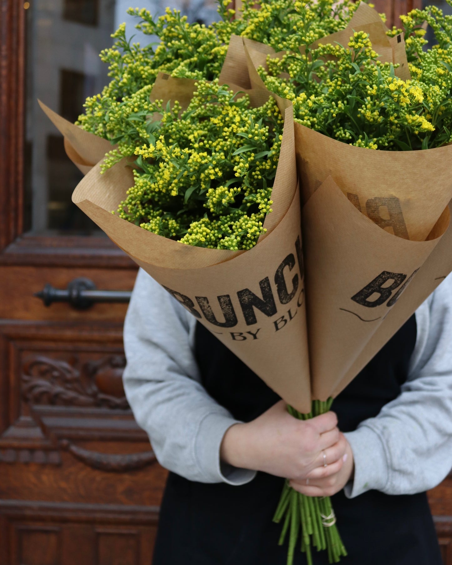 Solidago