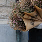 Limonium
