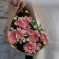 Krysantemum