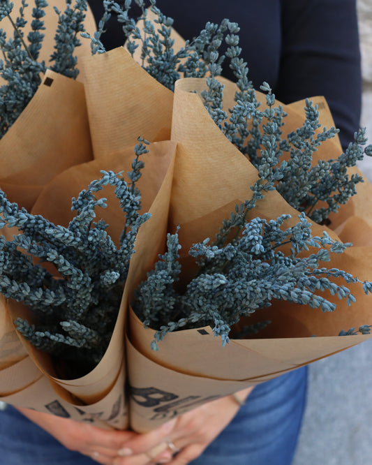 Lavendel