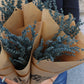 Lavendel