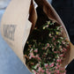 Limonium