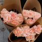 Nejlika - Dianthus