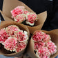 Nejlika - Dianthus