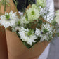 Nigella