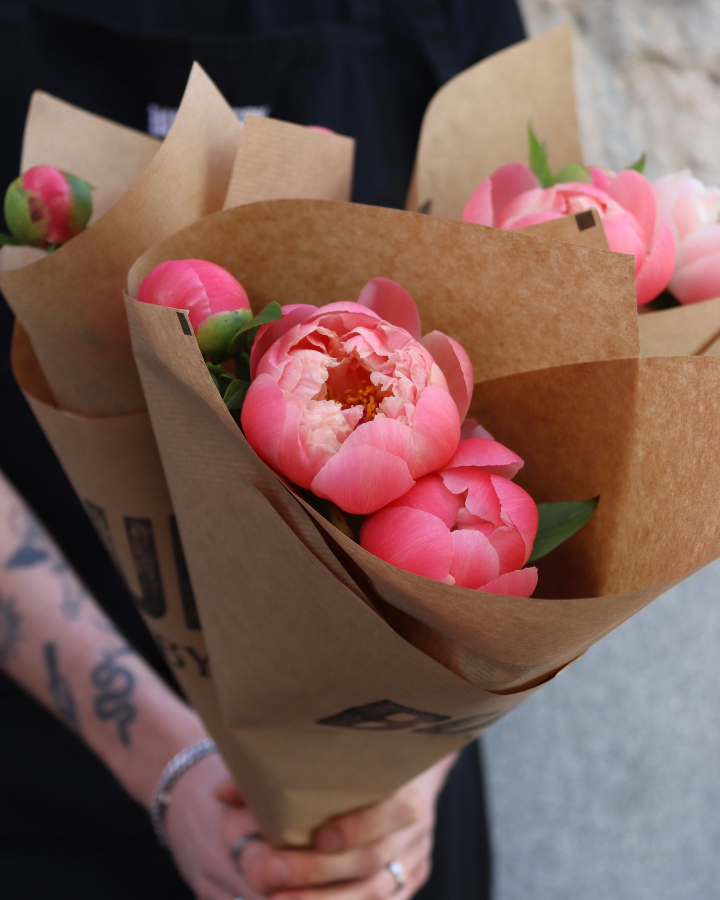 Pion - Paeonia