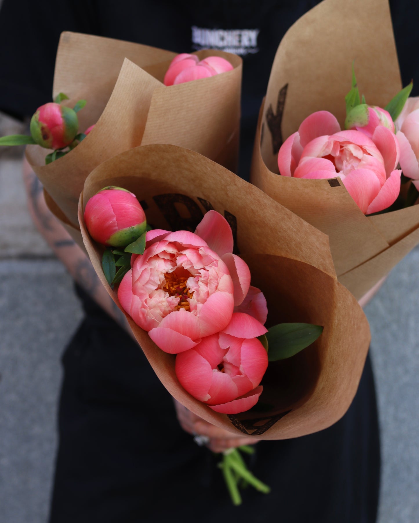 Pion - Paeonia