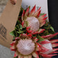 Protea