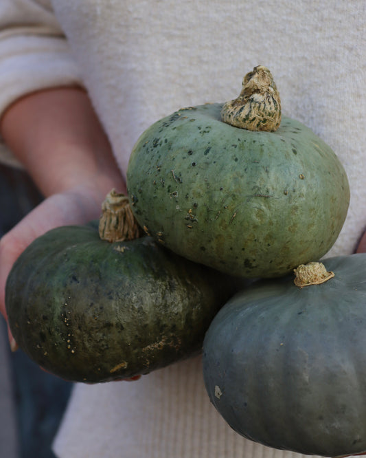 Pumpa