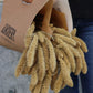 Setaria