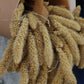 Setaria