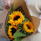 A bag of sunshine