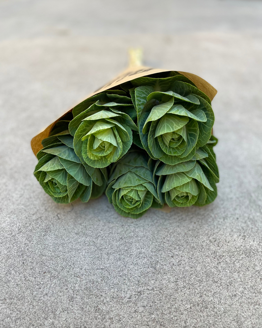 Brassica - Prydnadskål
