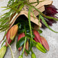 Lilja, leucadendron och grönt