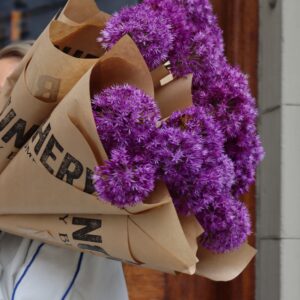 Allium