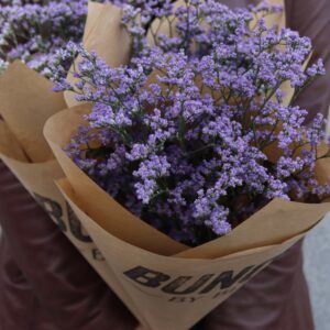Limonium
