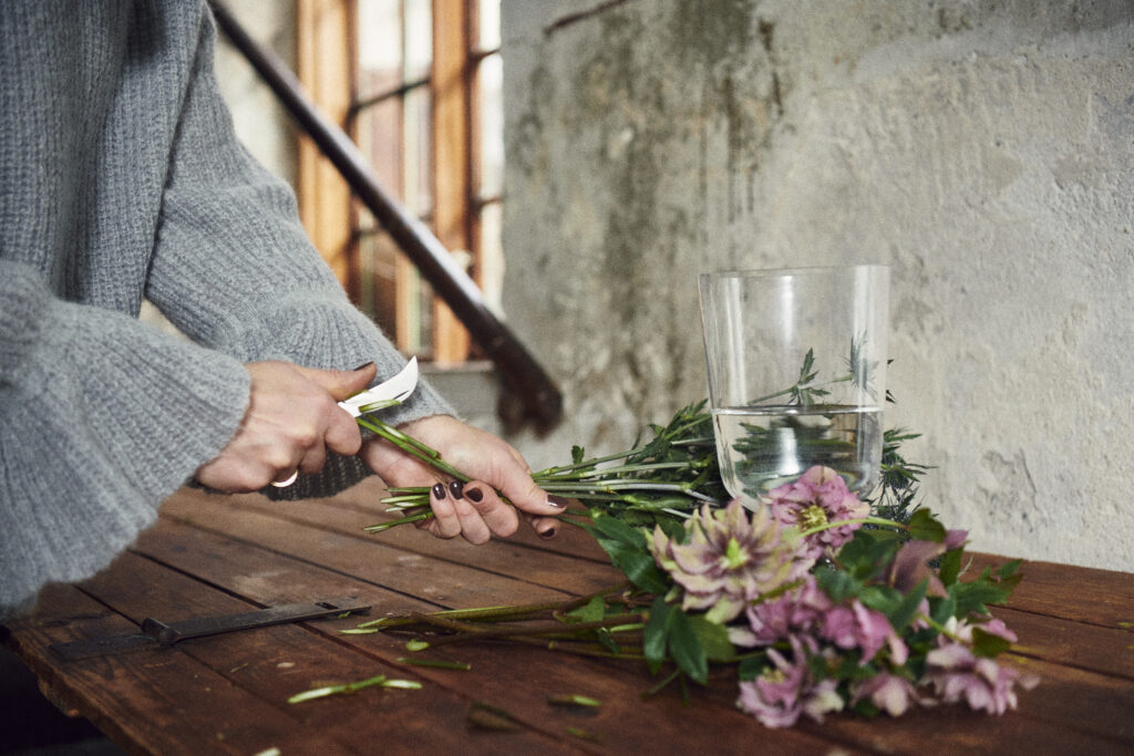 DIAGONALA SNITT
Många snittblommor mår bra av ett diagonalt snitt för att få mycket yta att dricka från. Se blomsterksolan för mer info hur du snittar en specifik blomma.