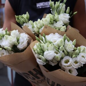 Prärieklocka - Lisianthus