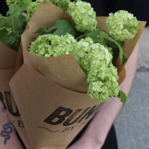 Skötselråd Viburnum