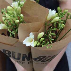 Freesia