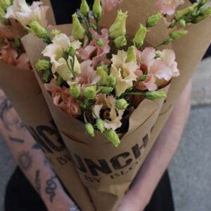 Prärieklocka - Lisianthus
